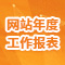 政府网站年度工作报表